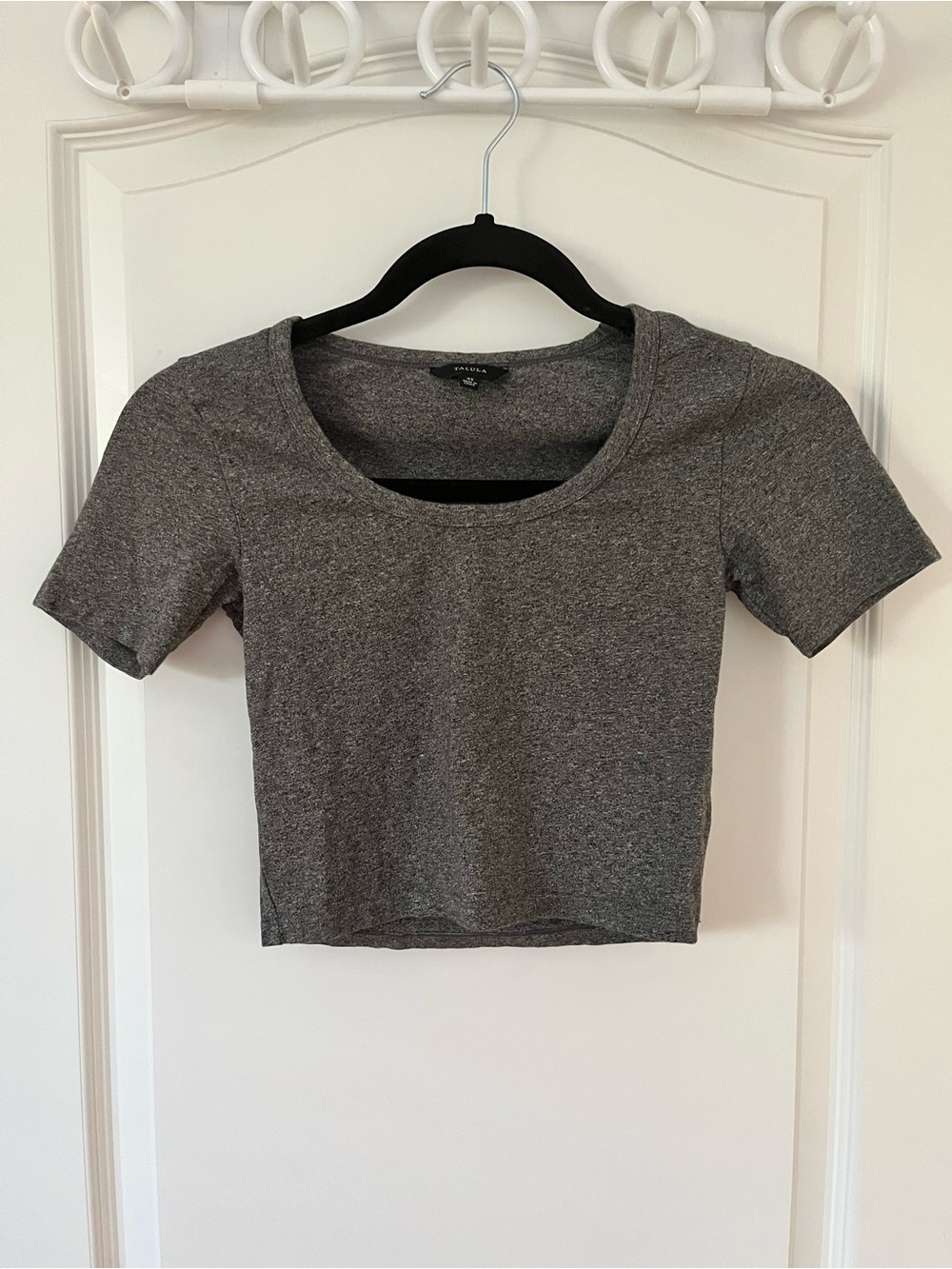 Aritzia Talula Dark Heathered Grey Cotton Scoopneck Shortsleeve Crop Top